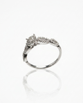 ANILLO 4