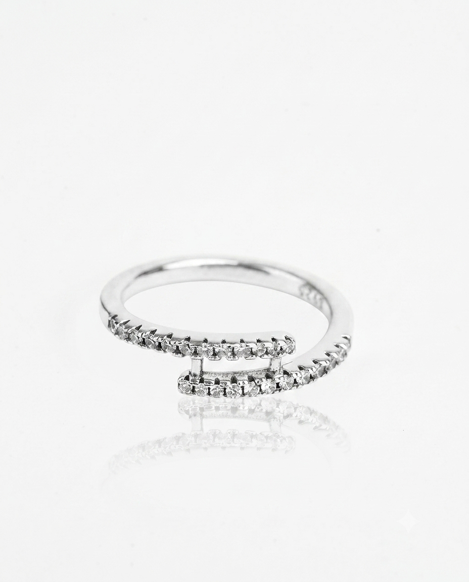 ANILLO 6